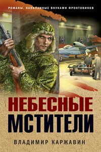 Небесные мстители - Владимир Васильевич Каржавин