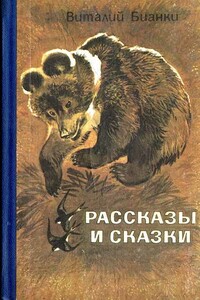 Рассказы и сказки - Виталий Валентинович Бианки