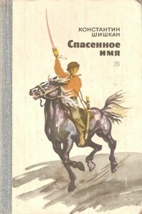 Спасенное имя - Константин Борисович Шишкан