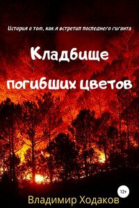 Кладбище погибших цветов - Владимир Ходаков