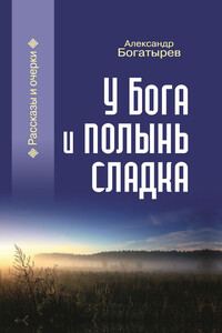 У Бога и полынь сладка: Рассказы и очерки - Александр Владимирович Богатырев