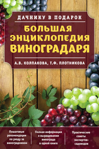 Большая энциклопедия виноградаря - Анастасия Витальевна Колпакова