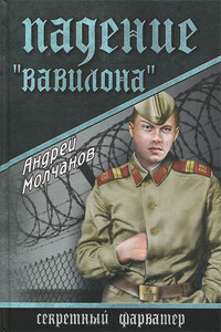 Падение «Вавилона» - Андрей Алексеевич Молчанов