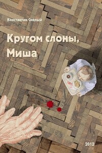 Кругом слоны, Миша - Константин Смелый