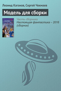 Модель для сборки - Сергей Владимирович Чекмаев