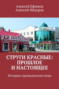 Струги Красные: прошлое и настоящее - Алексей Иванович Фёдоров