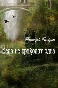 Беда не приходит одна - Тимофей Николаевич Печёрин