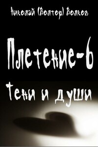 Тени и души - Николай Владимирович Волков