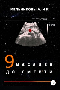 9 месяцев до смерти - Анастасия Александровна Мельникова