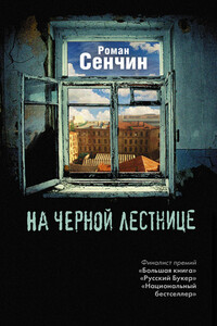 На черной лестнице - Роман Валерьевич Сенчин