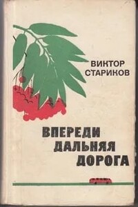 Впереди дальняя дорога - Виктор Александрович Стариков