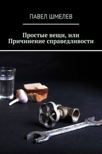 Простые вещи, или Причинение справедливости - Павел Шмелев