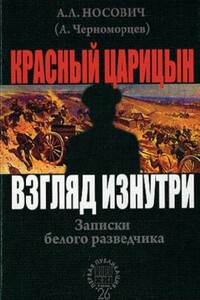 Красный Царицын. Взгляд изнутри - Анатолий Леонидович Носович