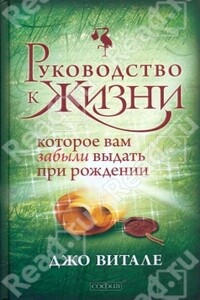 Руководство к жизни, которое вам забыли выдать при рождении - Джо Витале