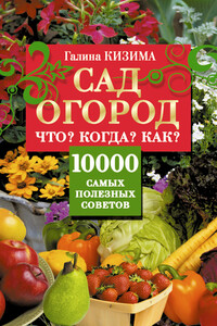 Сад и огород. Что? Когда? Как? - Галина Александровна Кизима