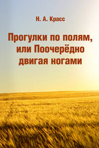 Прогулки по полям, или Поочерёдно двигая ногами - Наталья Александровна Красс