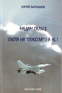 Мадам Гали – 3. Охота на «Сокола» (F-16) - Юрий Федорович Барышев