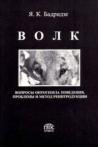 Волк. Вопросы онтогенеза поведения, проблемы и метод реинтродукции - Ясон Константинович Бадридзе