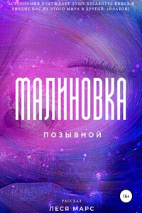 Позывной «Малиновка» - Леся Марс