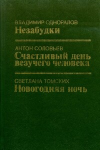 Новогодняя ночь - Светлана Викторовна Томских