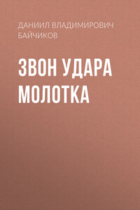 Звон удара молотка - Даниил Владимирович Байчиков