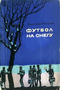 Футбол на снегу - Вячеслав Владимирович Веселов