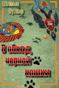 В обход черной кошки - Шломо Вульф