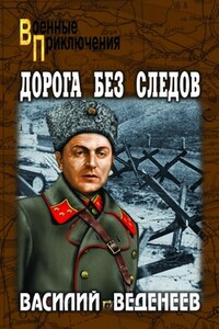 Дорога без следов - Василий Владимирович Веденеев