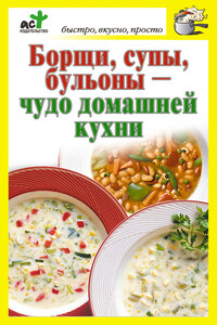 Борщи, супы, бульоны – чудо домашней кухни - Дарья Костина