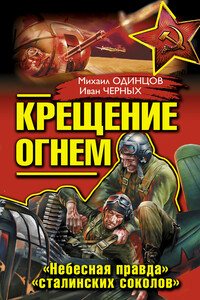 Крещение огнем. «Небесная правда» «сталинских соколов» - Иван Васильевич Черных