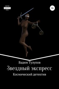 Звездный экспресс - Вадим Викторович Тулупов