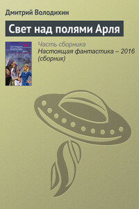 Свет над полями Арля - Дмитрий Михайлович Володихин