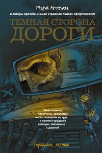 Темная сторона дороги - Юрий Александрович Погуляй