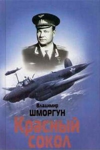 Красный сокол - Владимир Кириллович Шморгун