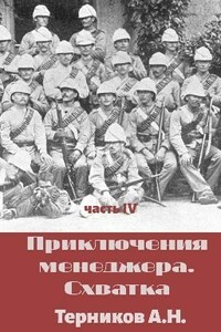 Приключения менеджера. Схватка - Александр Николаевич Терников