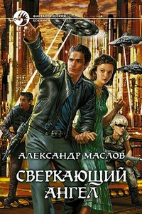 Сверкаюший Ангел - Александр Валерьевич Маслов