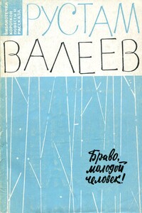 Браво, молодой человек! - Рустам Шавлиевич Валеев