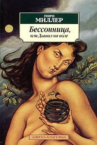 Бессонница, или Дьявол на воле - Генри Миллер