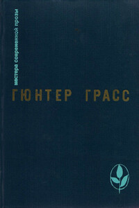 Встреча в Тельгте - Гюнтер Грасс