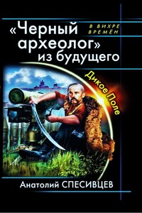 «Черный археолог» из будущего. Дикое Поле - Анатолий Фёдорович Спесивцев