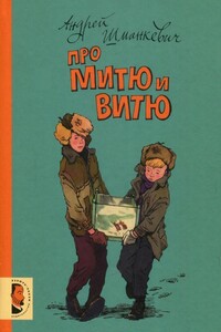 Про Митю и Витю - Андрей Павлович Шманкевич