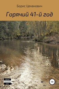 Горячий 41-й год - Борис Геннадьевич Цеханович