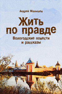 Жить по правде. Вологодские повести и рассказы - Андрей Валентинович Малышев