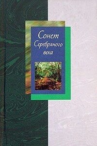 Сонет Серебряного века. Том 2 - Александр Александрович Блок