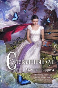 Стеклянный суп - Джонатан Кэрролл