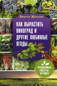 Как вырастить виноград и другие любимые ягоды - Виктор Владимирович Жвакин