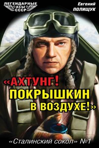 «Ахтунг! Покрышкин в воздухе!» - Евгений Дмитриевич Полищук