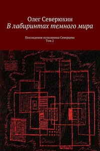 В лабиринтах тёмного мира. Том 2 - Олег Васильевич Северюхин