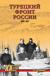 Турецкий фронт России. 1914–1917 - Алексей Владимирович Олейников