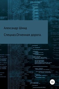 Спецназ. Огненная дорога. - Александр Витальевич Шмид